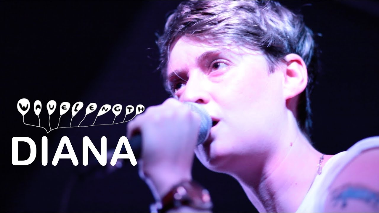 Wavelength: DIANA -- Moment of Silence