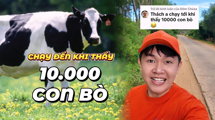 [FULL] Thử Thách: Chạy Đến Khi Thấy 10,000 Con Bò