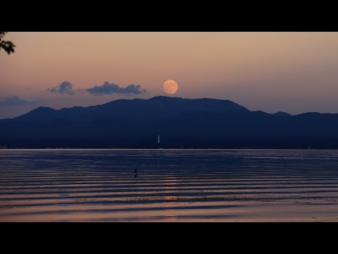 「Japan 1minute Travel」滋賀 琵琶湖(SHIGA Lake Biwa)酷暑の中、琵琶湖から愛でた中秋の名月、広がる湖面に映り込む月光と静けさに包まれた湖の風景は深く心に残りました。