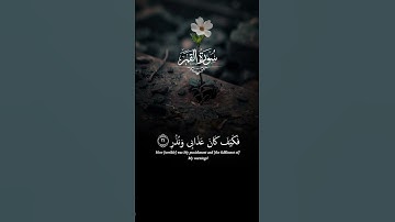 سورة القمر القارئ احمد النفيس