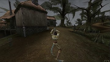 OpenMW animation issue