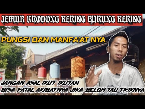 Video: Mana yang benar kering atau kering?