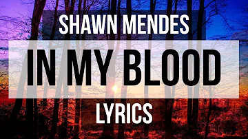 Shawn Mendes - In My Blood (Lyrics)