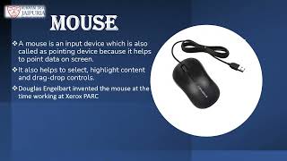 Complete Guide to Peripheral Devices | Class 9 Computer Science