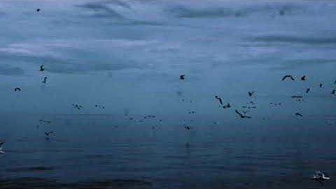 Avi- Silver (222) feat. SISÜ prod. Gerion & Tvvin