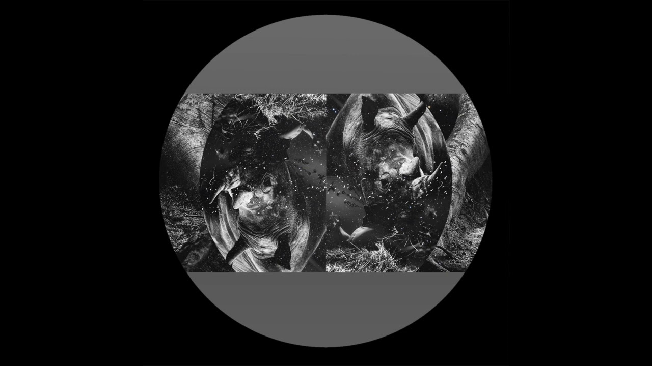 Joton - Ethereal Eclipse auf YouTube ansehen Joton - Ethereal Eclipse auf YouTube ansehen