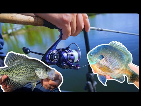 best spinning combo for panfish Series St. Croix Rod while the anodized aluminum spool on the reel ensures durability Fishing Lures Best Ice Fishing
