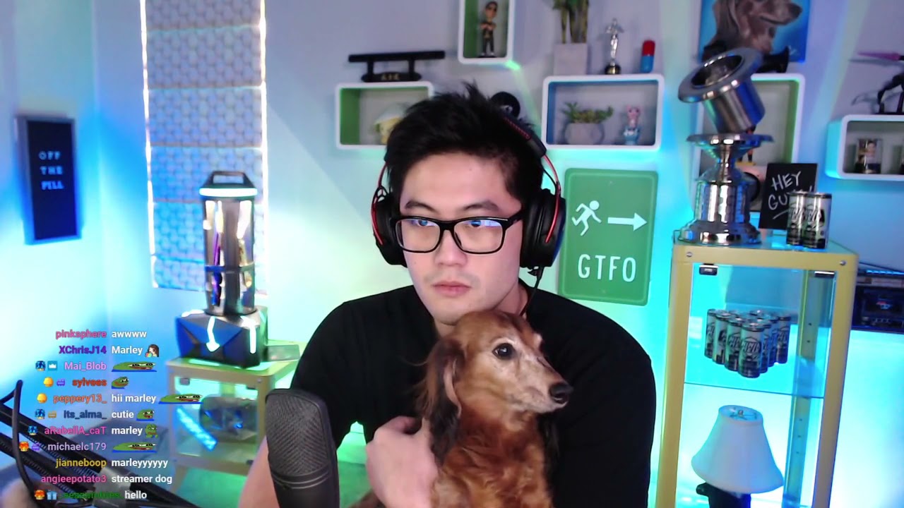 A rare sighting of Marely on Ryan's stream