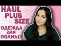 PLUS SIZE HAUL/ОСЕННЯЯ ОДЕЖДА БОЛЬШИХ РАЗМЕРОВ/ROMWE,SHEIN,ZAFUL