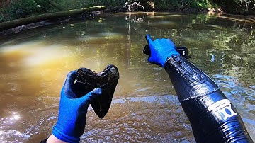 Scouting Alone for Megalodon Teeth 8/4/21