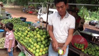 Orange at Battambang Province 40,000 Riel for 44 Fruits