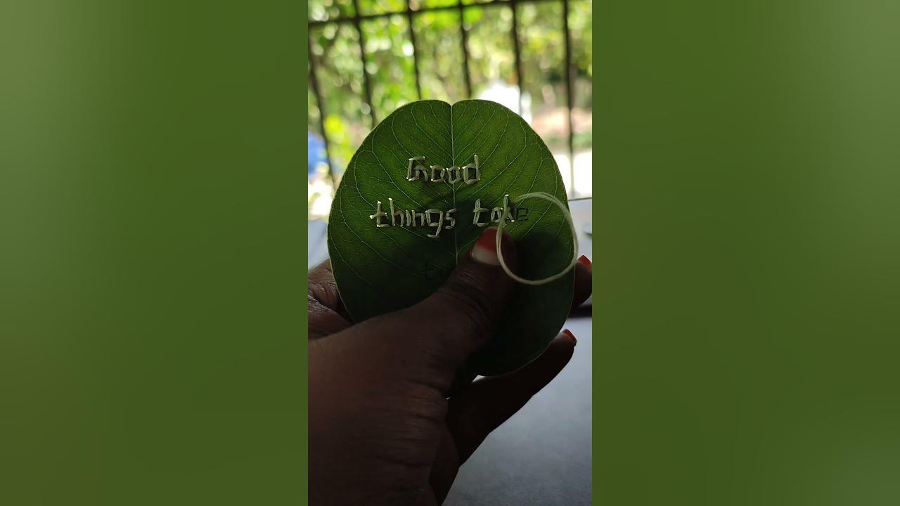 good-things-take-time-youtube