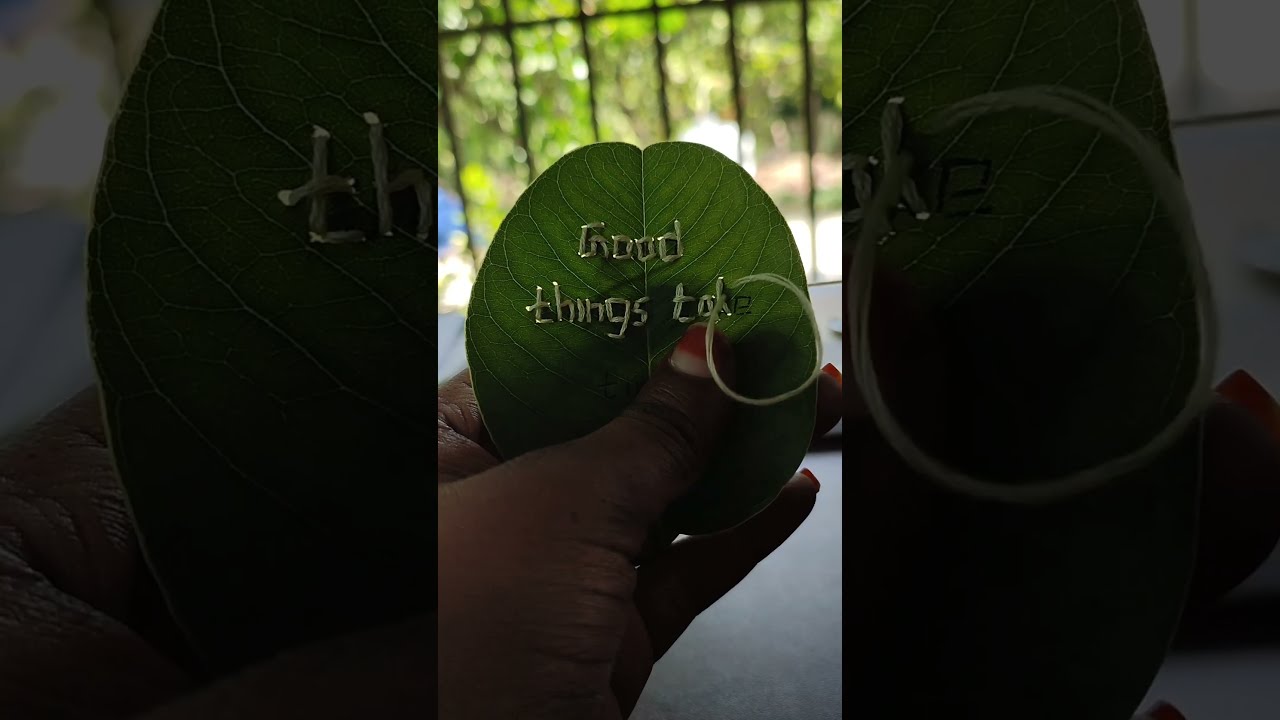 Good Things Take Time YouTube Good Things Take Time YouTube