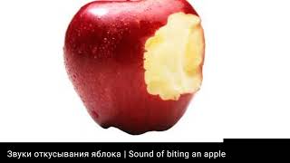 Звук откусывания и жевания яблока | Sound of biting an apple