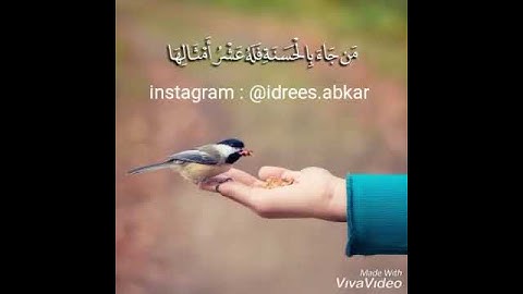 من جاء بالحسنة فله عشر أمثالها#تلاوة للقاريء الشيخ#إدريس_أبكر من#سورة_الأنعام