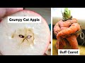 Times People Spotted Pareidolia In These Vegetables And Fruits (Part 2)