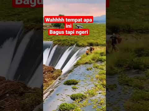 bendungan di penuhi rumput