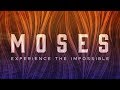 Burning Bush - Sermon Series: Moses | New Hope