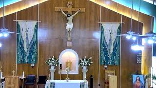 Holy Mass 6/05/2026 Rev. Gerald De Luney