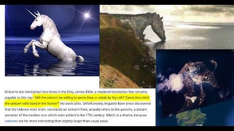 Mud Fossils - The Unicorn Found!