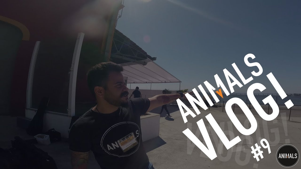 Vlog Animals #9 (SET.2018)