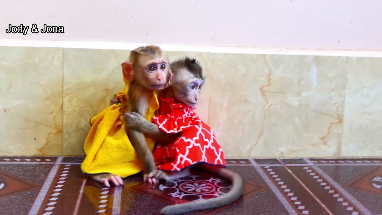 Breaking Heart!!Jona cryconvulsions mosthurt whyspoilJody burst topull ear Jonaveryfast Noreasonable