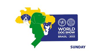 WDS 2022 BRASIL - Domingo 11/12 screenshot 4