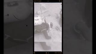 Что нашел Римский дайвер? Ученые в шоке!