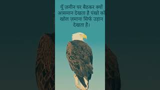 यूँ ज़मीन पर बैठकर #youtubeshorts #shortvideo #viralshorts #trending
