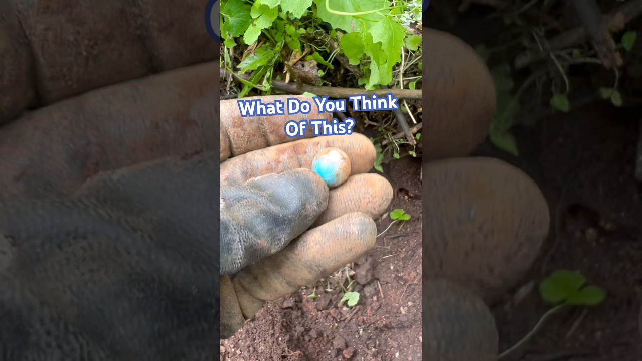 Невероятные старинные находки обнаружены на свалке в Старом городе - Канадская археология 🔥 