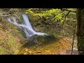 1) Посетили Водопады. Oppenau. Allerheiligen. Восхождение по тропам. Скалы. Nationalpark Schwarzwald