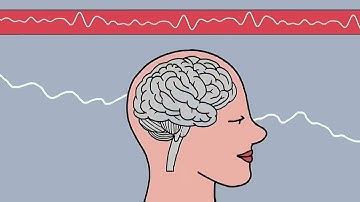 Ready for Brain Transparency short