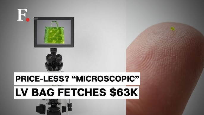 Microscopic' Louis Vuitton-style handbag sells for over $63K: 'Smaller than  a grain of salt