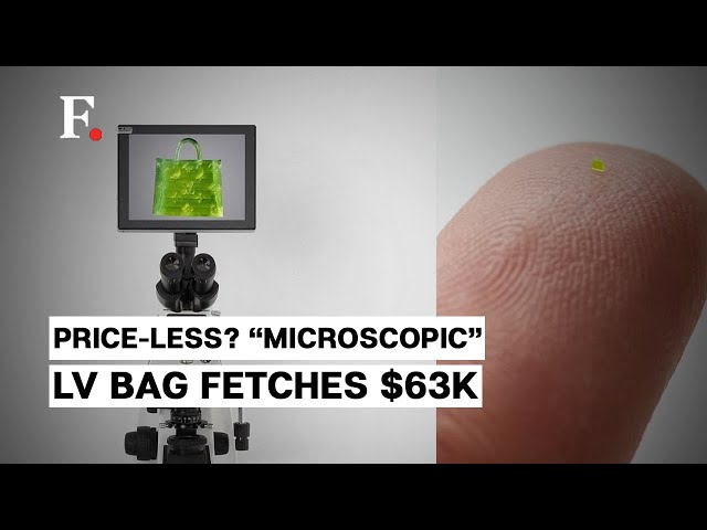Microscopic' Louis Vuitton-style handbag sells for over $63K