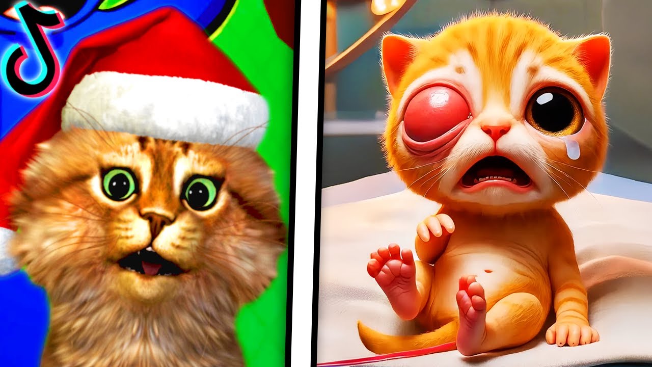 Reacting To The FUNNIEST Videos (TRY NOT TO LAUGH CHALLENGE)