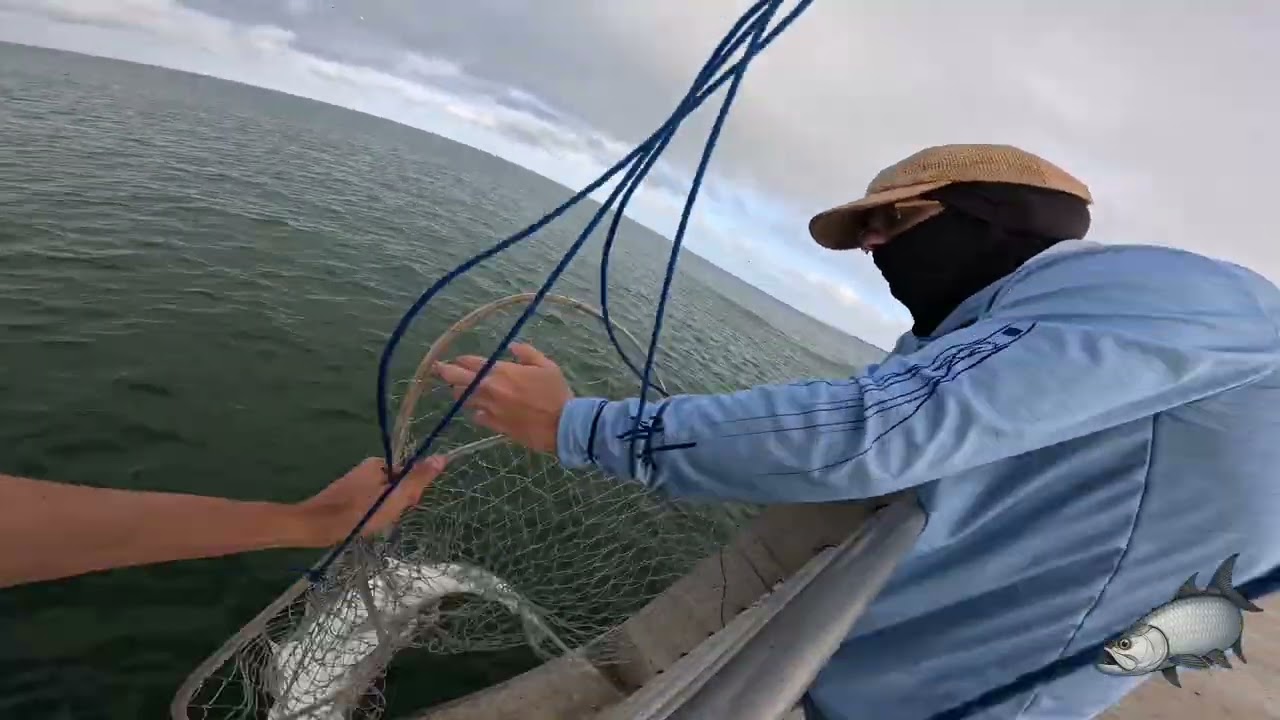 Shark Attack at Fort De Soto Pier – Full Moon Madness!