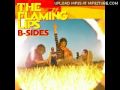 The Flaming Lips - What Does It Mean