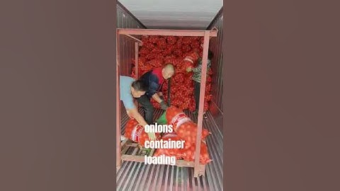 #Onions #container loading #supplier #exporter #dealer #distributor #wholesaler China+8618706489502