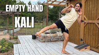 Kali Empty Hand Combos I've Been Practicing