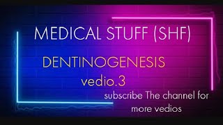 DENTINOGENESIS (Dentin-pulp) Vedio.3 #dentinpulpcomplex#bds1styear