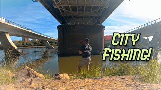 Buscando PECES en la CIUDAD. Pescando en el Rio Ebro