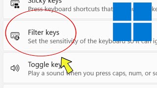 Filter Keys Settings in Windows 11 Laptop & Computer