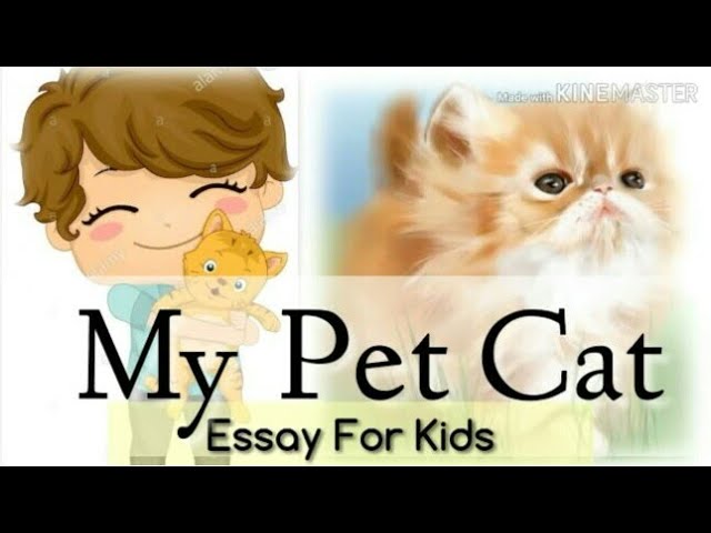 20 lines Essay on MY PET CAT in English | My pet animal essay - YouTube