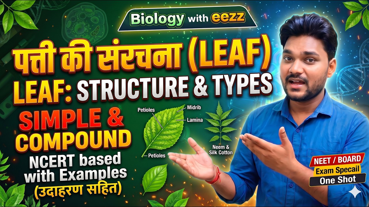 🌿 Simple vs Compound Leaf Explained | Morphology of Flowering Plants ...
