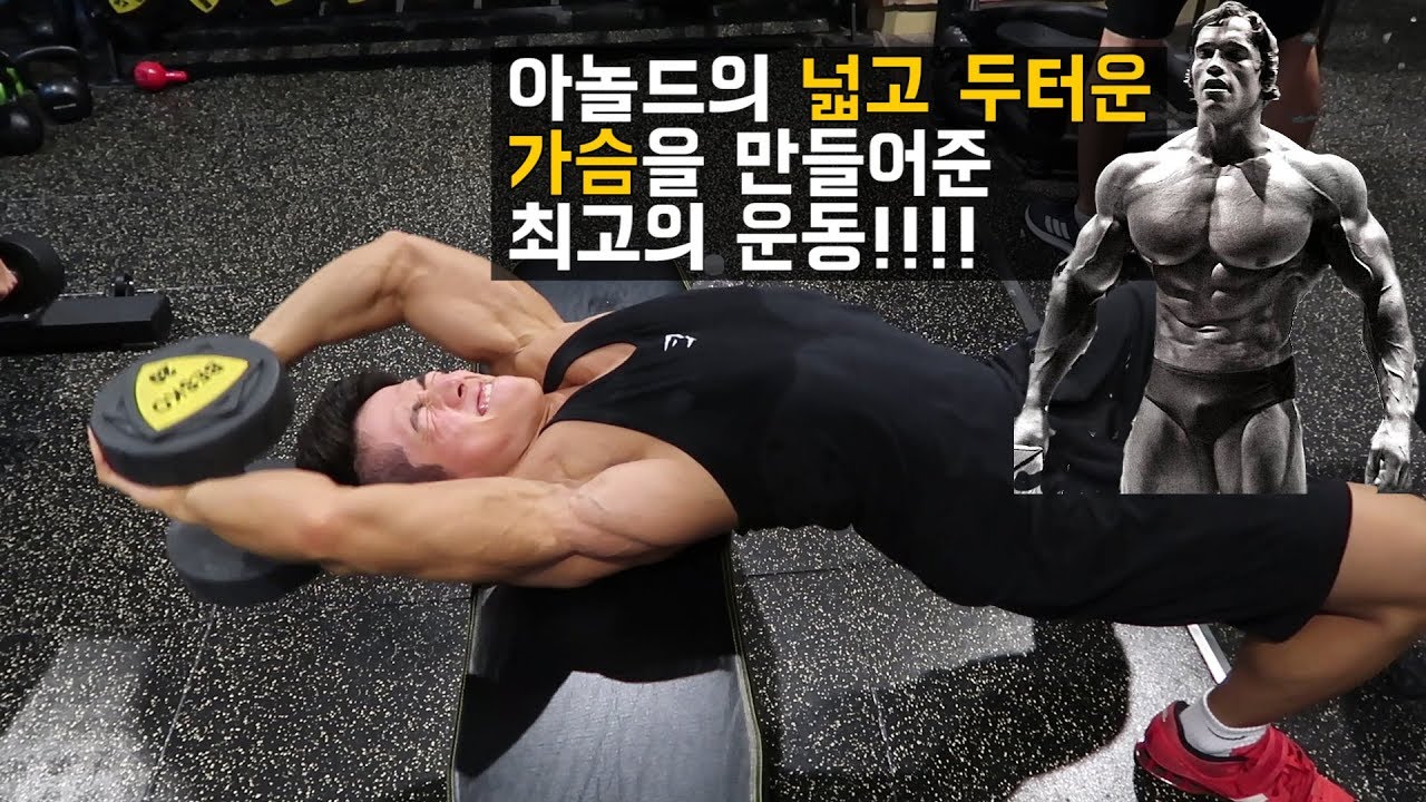 넓고 두터운 가슴을 만드는 운동 | 당신의 상체에 볼륨감을 더해드립니다! | 덤벨 풀 오버에 대해서 알아보자!!