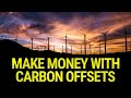 How to make money producing and selling Carbon Offsets