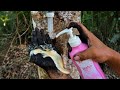 Survival Skills SIMPLE And USEFUL save SOAP in Water #camping #outdoors #bushcraft #survival