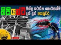 හිපියන්ට පිස්සු නටන්න කොටසක් වෙන් කොට දුන් ලුබ්ලියානාව