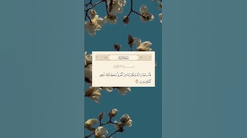سورةالأنبياء #اسلام_صبحي