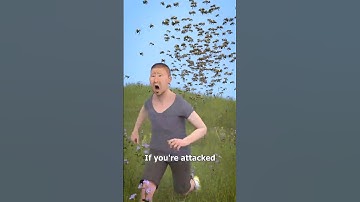 How To Survive A Swarm Of Bees 🤔 - Melon Playground #bees